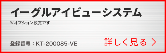 イーグルアイビューシステム※OPT